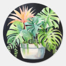 Search for house plant stickers Botanical