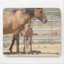 Search for foal mouse mats Filly