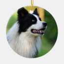 Search for border collie memorial gifts Animal