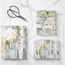 Search for white wood wrapping paper Birch