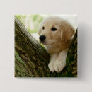 Search for peek a badges Baby