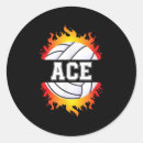 Search for volleyball ball stickers Net
