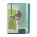 Search for avians magnets Collages