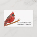 Search for cardinal bird business cards Wildlife