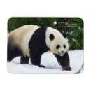 Search for giant seasonal cards Animals