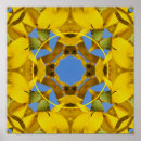 Search for echinacea posters Floral