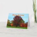 Search for autumn tree birthday cards Fall