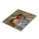 Search for wing tiles Green