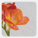 Search for copyspace Flowers