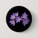 Search for bulb badges Flowers