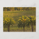 Search for barossa Glaymond wines