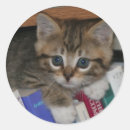 Search for cute worm stickers Bookworm