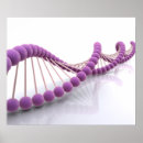 Search for dna posters Microbiology