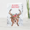 Search for bull terrier christmas cards Staffy