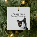 Search for grey and white cat christmas tree decorations Black