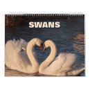 Search for swan calendars Elegant