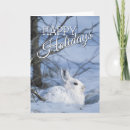 Search for rabbit at rest cards Cute animals