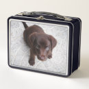 Search for puppy lunch boxes Puppies