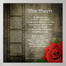 Search for thorns posters Rose