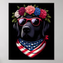 Search for fireworks art Merica