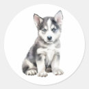 Search for dog vector stickers Pet