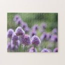 Search for herb photography Flowers