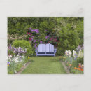 Search for back yard postcards Nature
