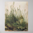 Search for turf posters Albrecht