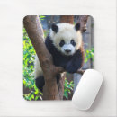 Search for cutest mouse mats Sichuan province