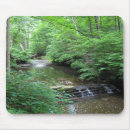 Search for creek fall Park
