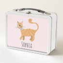 Search for tabby cat food storage Cute