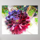 Search for and electrical posters Purple
