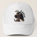 Search for prey hats Bird