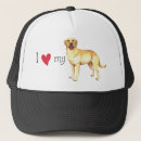 Search for yellow lab hats Labrador retriever