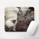 Search for best buddies electronics Dogs