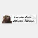 Search for black labrador bumper stickers Puppy
