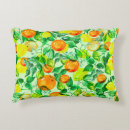 Search for vintage florida cushions Citrus