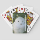 Search for owl playing cards Design