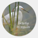 Search for heron stickers Bird