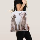 Search for innocent bags No people