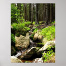 Search for stream posters Woods
