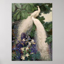 Search for white peacock art Birds