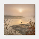 Search for reed magnets Sunrise
