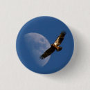 Search for soar badges Bird