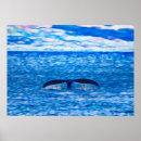 Search for humpback posters Hawaii