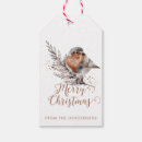 Search for christmas robin gift tags Watercolor