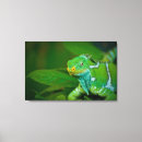 Search for eco canvas prints Nature