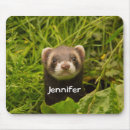 Search for ferret mouse mats Funny