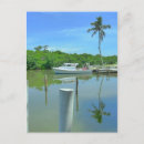 Search for captiva postcards Tropical