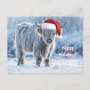 Search for calf postcards Highland